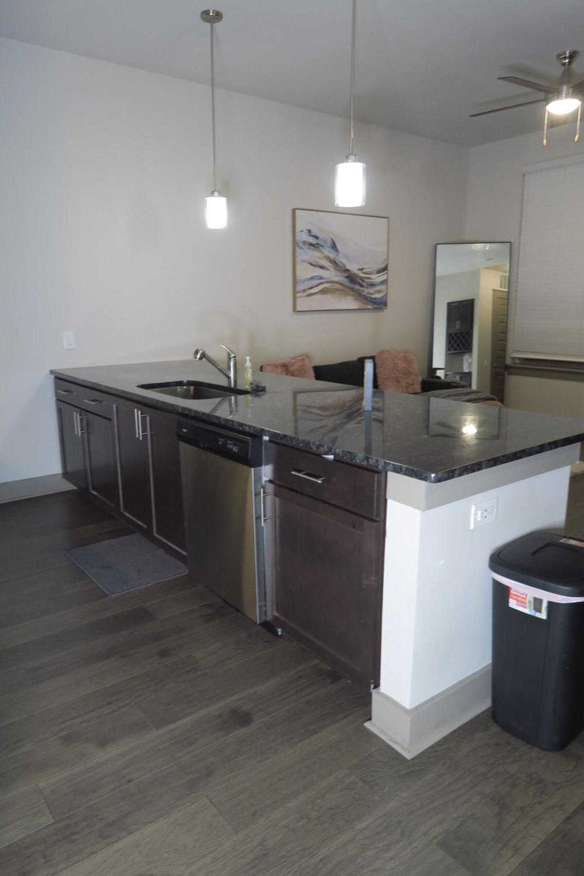 1bed Luxury * Houston
